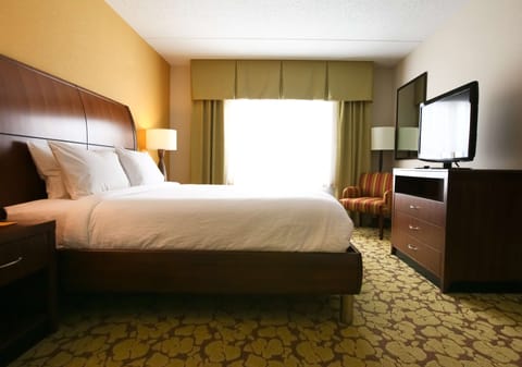 Suite, 1 King Bed | Hypo-allergenic bedding, in-room safe, rollaway beds, free WiFi