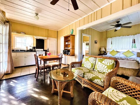 Coast Cottage, 1 Bedroom, Oceanfront (King or Queen) | Room amenity