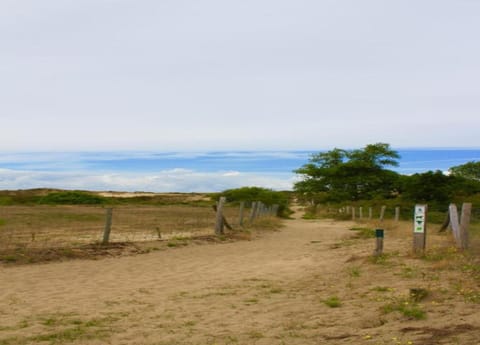Villa | Interior detail