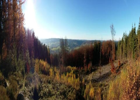 Chalet | View from property