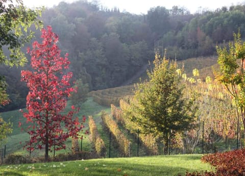 House | View from property