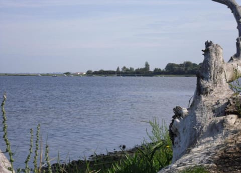 Bungalow | View from property