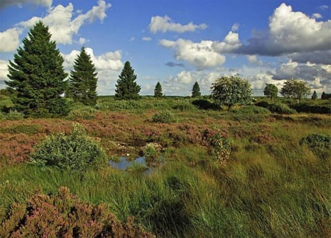 Apartment | View from property