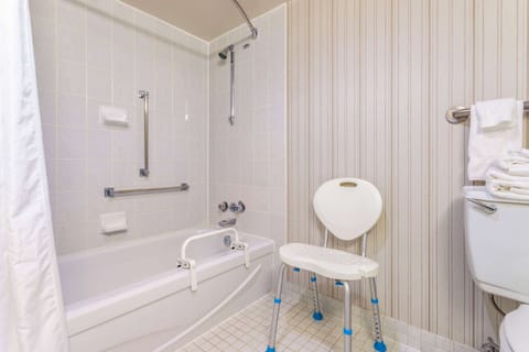 Room, 1 King Bed, Accessible, Non Smoking (Tub with Grab Bars) | Accessible bathroom