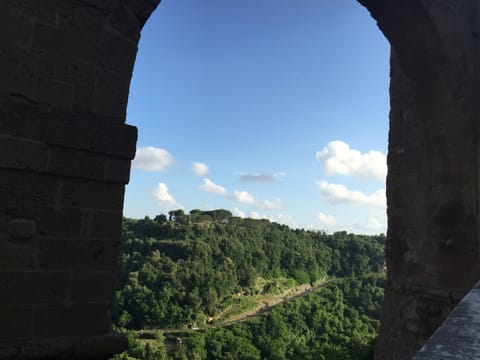 House | View from property