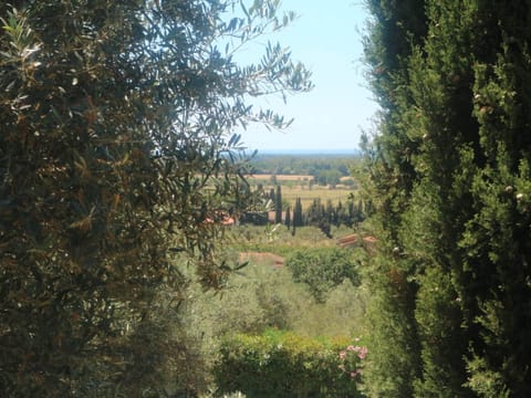 House | View from property