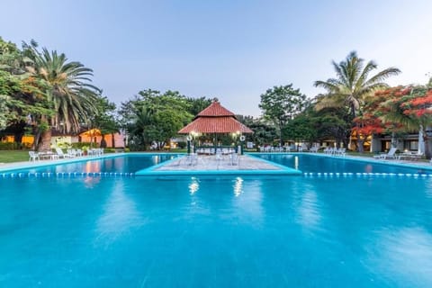 Outdoor pool, sun loungers