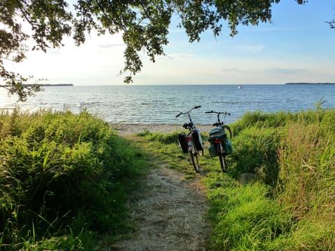 House | View from property