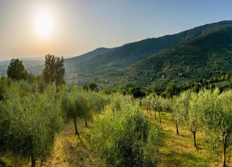 House | View from property