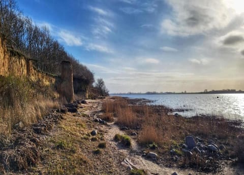 Bungalow | View from property