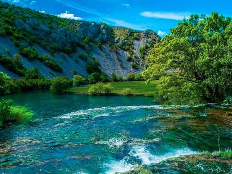 House | View from property