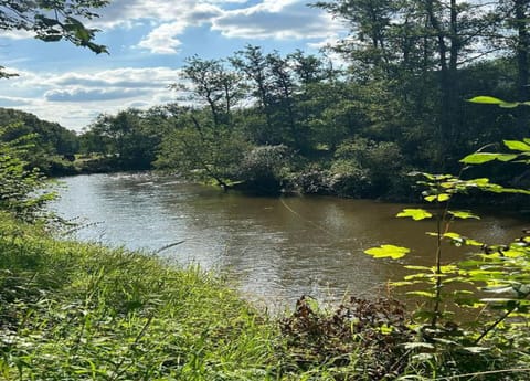 House | View from property