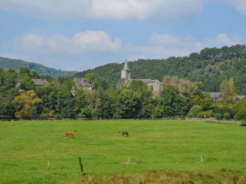 House | View from property