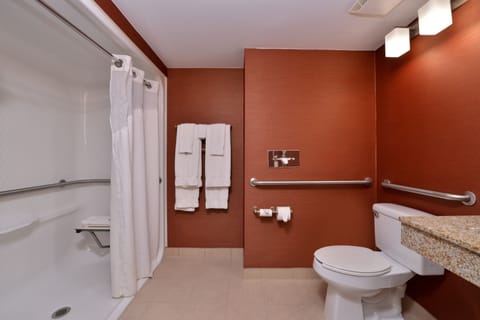 Combined shower/tub, free toiletries, hair dryer, towels