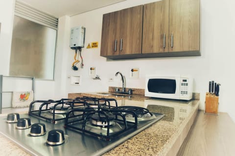 Panoramic Apartment | Private kitchen | Fridge, microwave, cookware/dishes/utensils