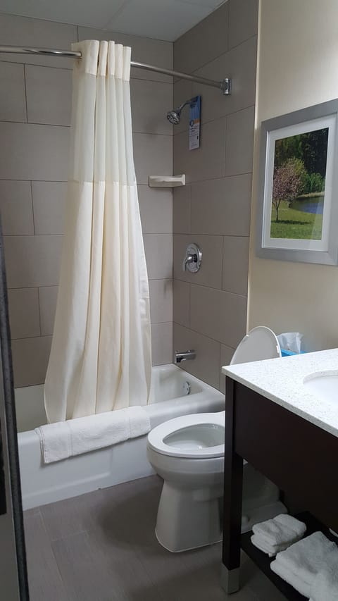 Combined shower/tub, free toiletries, hair dryer, towels