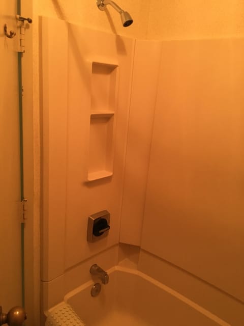 Combined shower/tub, eco-friendly toiletries, hair dryer, towels