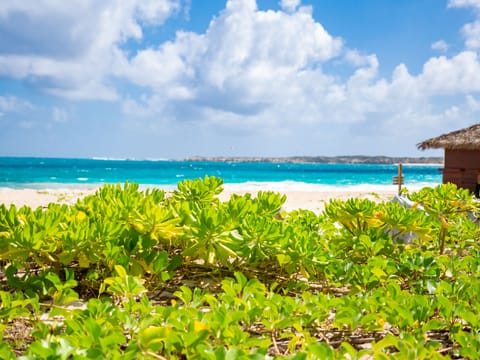 On the beach, white sand, sun loungers, beach umbrellas