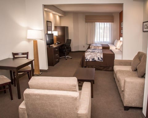 Suite, Non Smoking | In-room safe, desk, iron/ironing board, free WiFi