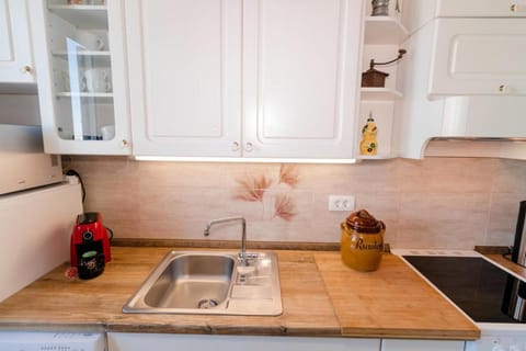 Apartment (Two bedroom apartment) | Private kitchen | Fridge, cookware/dishes/utensils