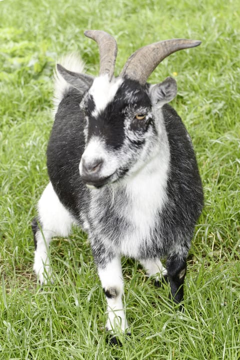 Children's activities