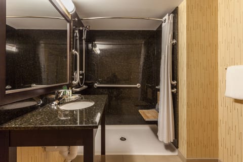 Standard Room, 1 King Bed, Accessible (Communications, Roll-In Shower) | Bathroom | Eco-friendly toiletries, hair dryer, towels