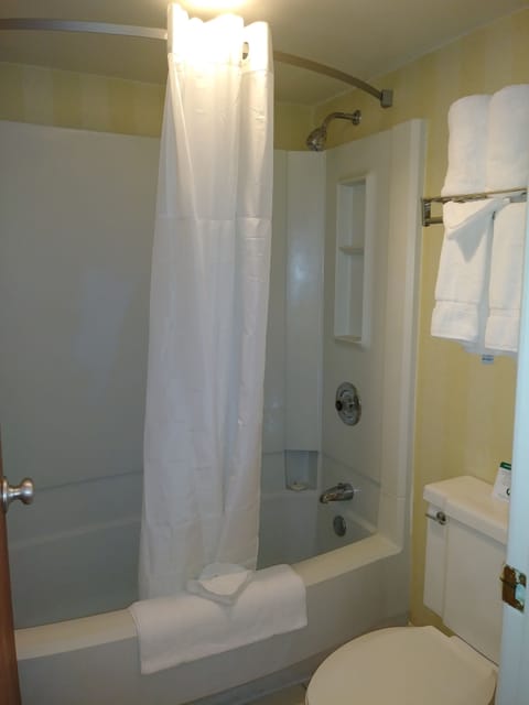 Combined shower/tub, eco-friendly toiletries, hair dryer, towels