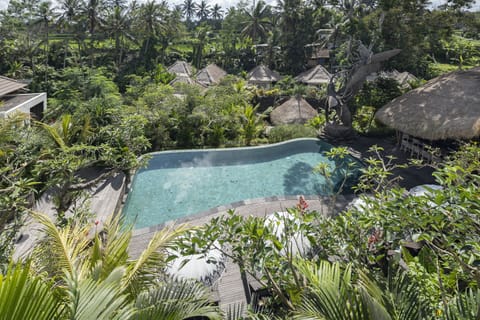 Suite with Pool View | Balcony view