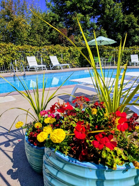 Seasonal outdoor pool