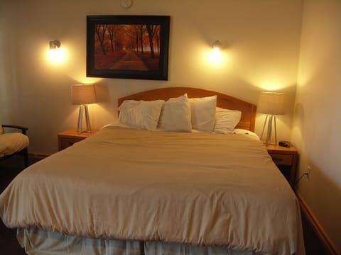 Deluxe Room, 1 King Bed, Non Smoking | Premium bedding, memory foam beds, individually furnished, soundproofing