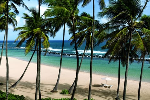 Beach/ocean view