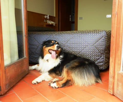 Standard Double Room Single Use | Premium bedding, in-room safe, individually decorated