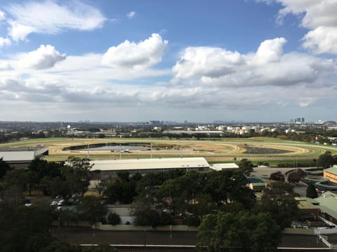 One Bedroom Apartment | View from room