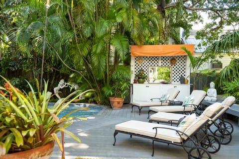 Outdoor pool, sun loungers