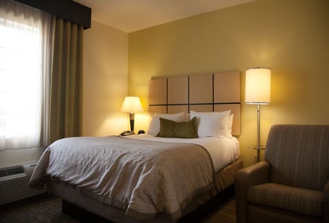 Studio Suite, 1 Queen Bed | In-room safe, desk, iron/ironing board, free cribs/infant beds