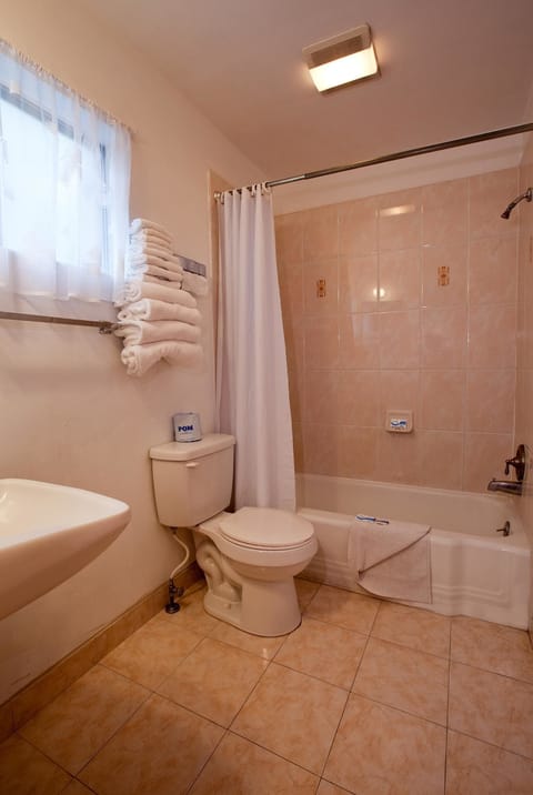 Combined shower/tub, free toiletries, hair dryer, towels