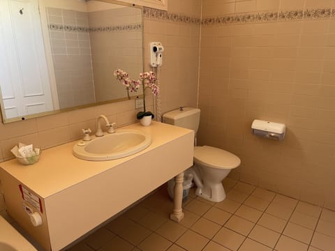 Queen Spa Room | Bathroom | Shower, free toiletries, hair dryer, towels