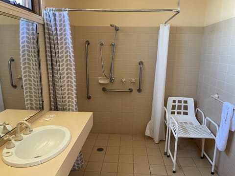 Queen Disability Room | Bathroom | Shower, free toiletries, hair dryer, towels