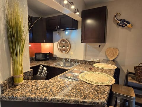 BUNGALOW 9 | Private kitchen | Fridge, microwave, stovetop, electric kettle