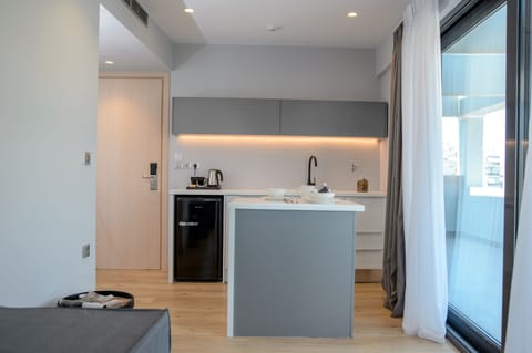 Family Apartment | Private kitchenette | Mini-fridge, espresso maker, electric kettle, cookware/dishes/utensils