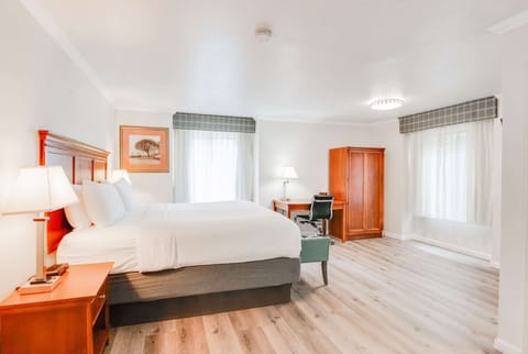 Room, 1 King Bed, Non Smoking, Jetted Tub | Premium bedding, desk, laptop workspace, blackout drapes