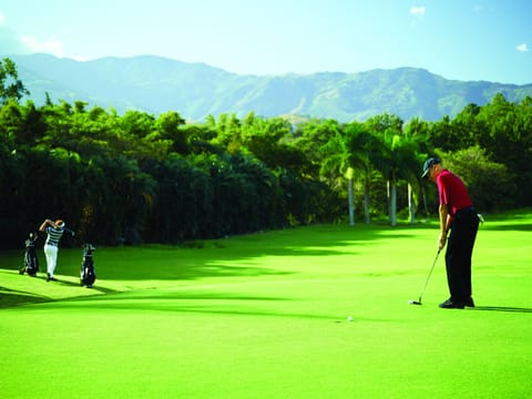 Indoor golf driving range