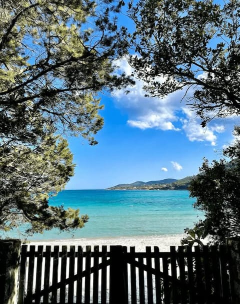 On the beach, white sand, sun loungers, beach umbrellas