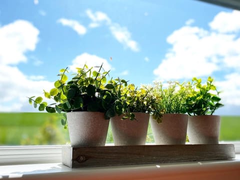 Romantic Bungalow | Private kitchen | Fridge, microwave, oven, stovetop