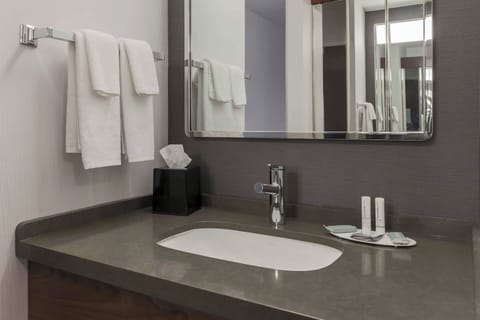 Combined shower/tub, free toiletries, hair dryer, towels