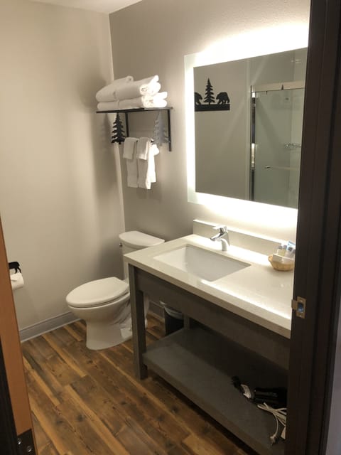 Combined shower/tub, free toiletries, hair dryer, towels