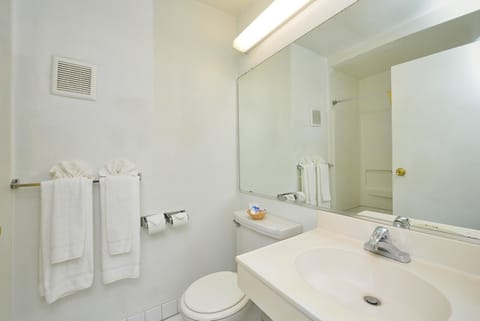 Combined shower/tub, free toiletries, hair dryer, towels