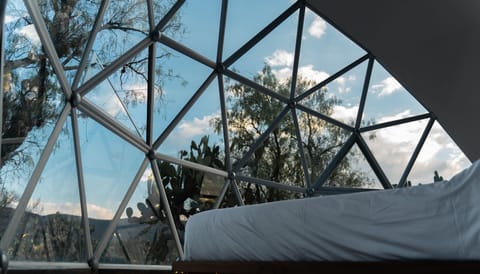 Maguey Otomí | Egyptian cotton sheets, premium bedding, down comforters