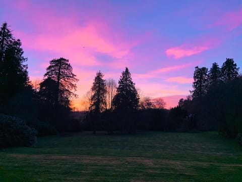 Cabin | Property grounds