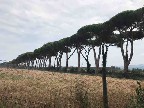 Loft, 2 Bedrooms, Smoking, Balcony | Exterior